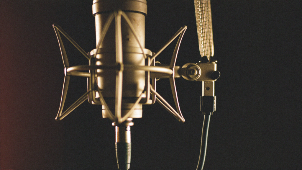 Close-up of a well-used condenser microphone in a shock mount behind a mesh pop filter